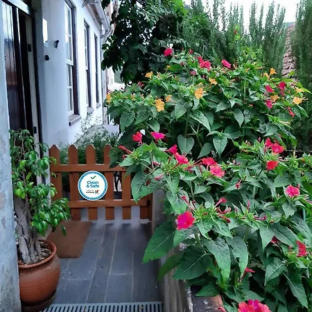 Casa Do Sr. Falcao * 科尔武河畔米兰达