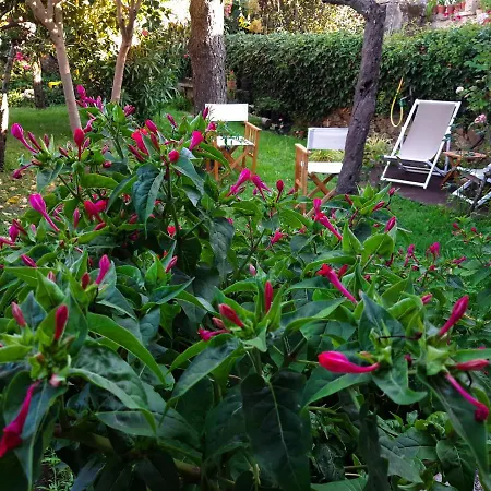 Feriehus Casa Do Sr. Falcao