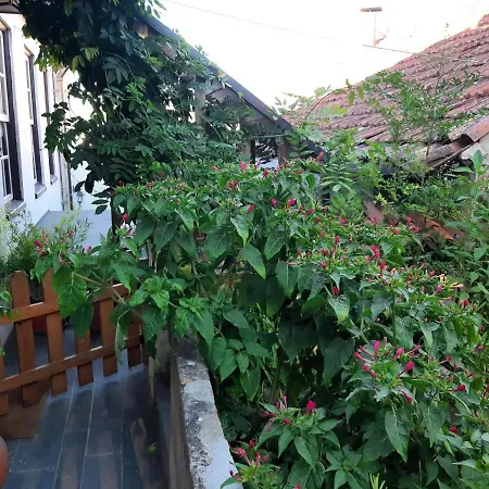 Tatil Evi Casa Do Sr. Falcao Miranda do Corvo