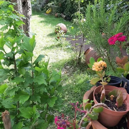 Tatil Evi Casa Do Sr. Falcao