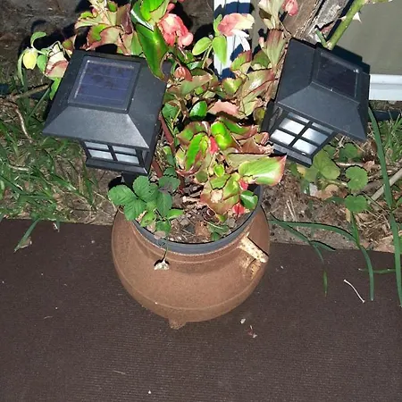 Сasa de vacaciones Casa Do Sr. Falcao