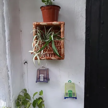 度假居 Casa Do Sr. Falcao 科尔武河畔米兰达