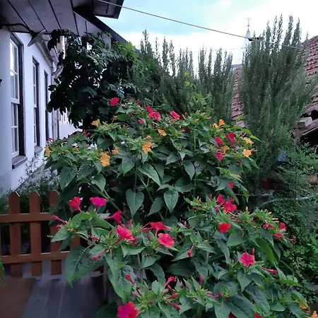 度假居 Casa Do Sr. Falcao *