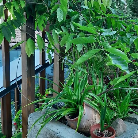 Casa Do Sr. Falcão