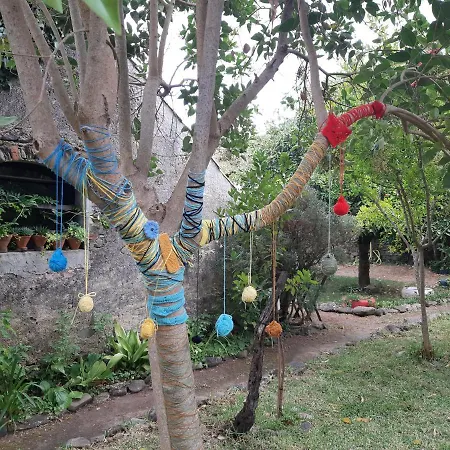 Casa de Férias Casa Do Sr. Falcão