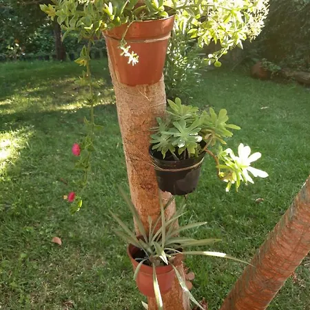 Feriehus Casa Do Sr. Falcao *