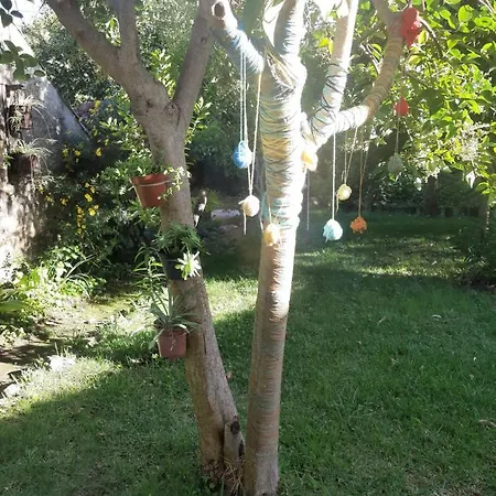 Casa Do Sr. Falcao Feriehus Miranda do Corvo