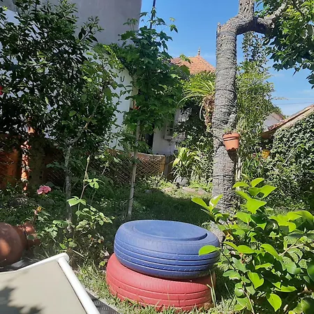 Casa Do Sr. Falcao