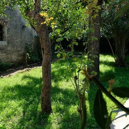 Casa Do Sr. Falcão Casa de Férias *