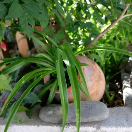 Casa Do Sr. Falcao Сasa de vacaciones