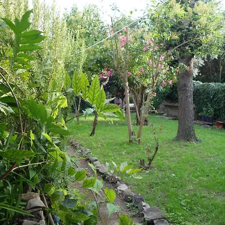 Tatil Evi Casa Do Sr. Falcao Miranda do Corvo