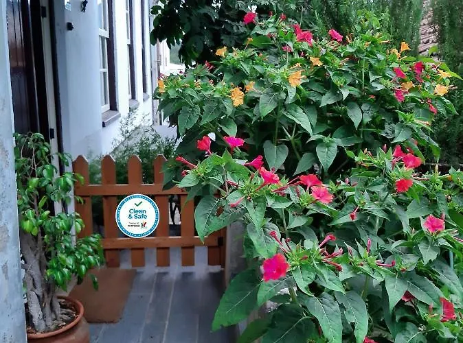 Casa Do Sr. Falcão * Miranda do Corvo