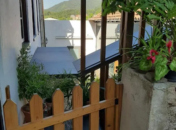 Casa Do Sr. Falcão *