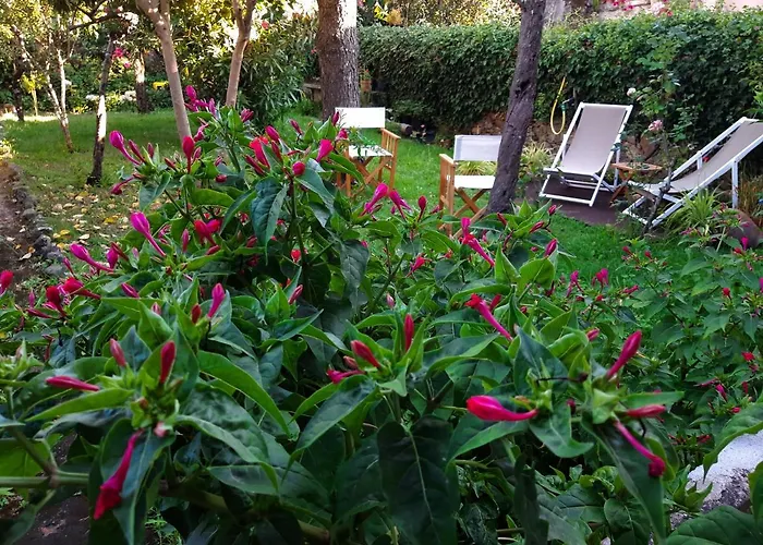 Casa de Férias Casa Do Sr. Falcão