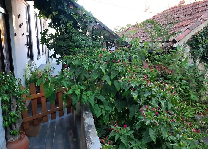 Prázdninový dům Casa Do Sr. Falcao Miranda do Corvo