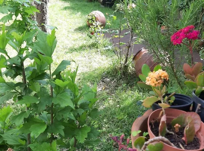 Casa de Férias Casa Do Sr. Falcão