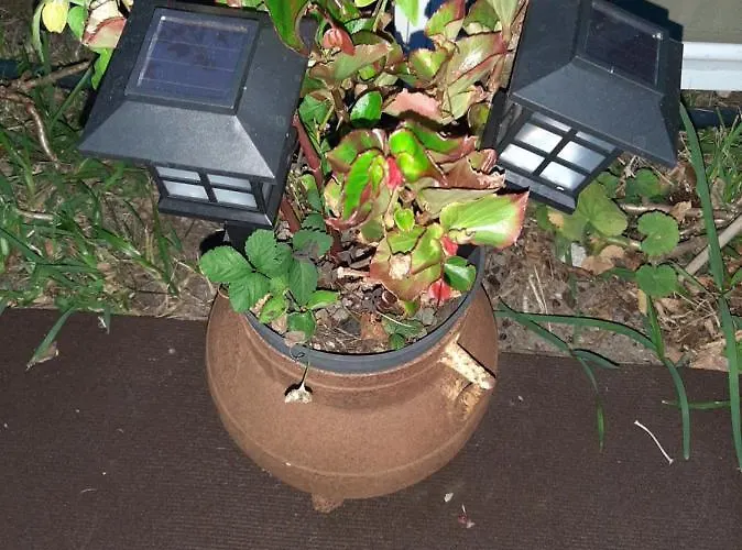 בית נופש Casa Do Sr. Falcao