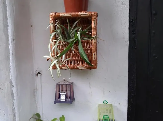 Casa de Férias Casa Do Sr. Falcão Miranda do Corvo