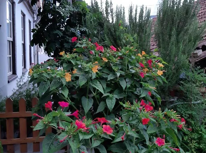 Casa de Férias Casa Do Sr. Falcão *