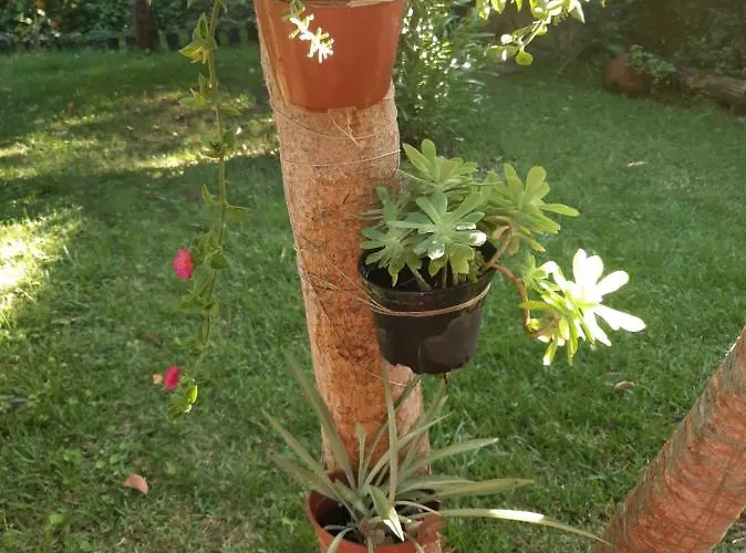 Prázdninový dům Casa Do Sr. Falcao *