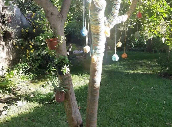 Casa Do Sr. Falcão Casa de Férias Miranda do Corvo