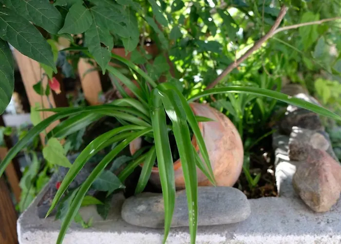 Casa Do Sr. Falcão Casa de Férias