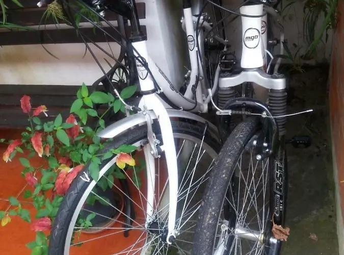 Casa Do Sr. Falcão Casa de Férias *