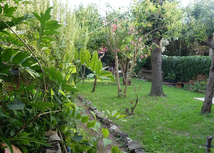 Prázdninový dům Casa Do Sr. Falcao Miranda do Corvo